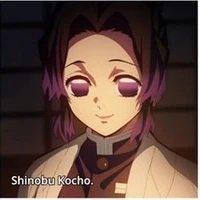 Shinobu Kochou [ Trùng Trụ ]