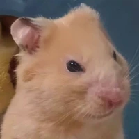 All người có mặt (-ai đó)