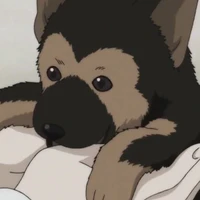 Yuma[Chú chó đáng thương :(]