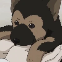 Yuma[Chú chó đáng thương :(]