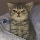 nhóm thụ ( trừ ai thì trừ)