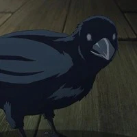 Dark