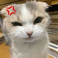 Hệ thống 0404 [ Izu ]