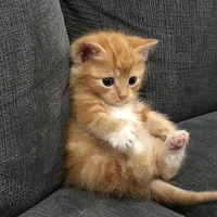 Tiền là trên hết
