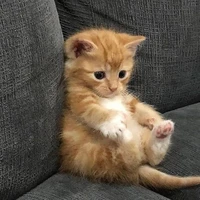 Tiền là trên hết