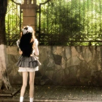 𝘼𝙝𝙣 𝙋𝙞𝙨𝙘𝙚𝙨 (p_fish)