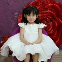 Lee Dain