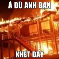 Cân mọi loại vai