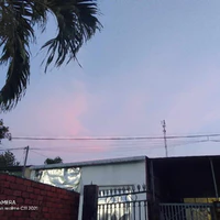 trợ lý của t/g