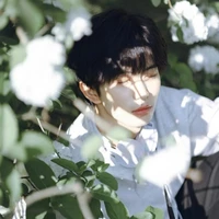 Lam Hoa Song Ngư ²⁸-³¹-⁴⁵