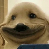 Nhỏ tgia🥹🫶🏻