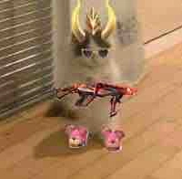 Con t/g zô tri xà lơ^^