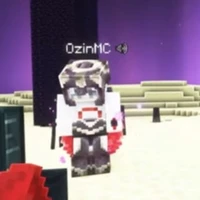 Ozin ( MegaSmp )