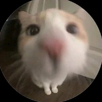 tgia chuche💕？？？