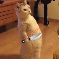 TG si tình