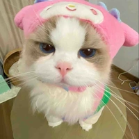 Tác giả