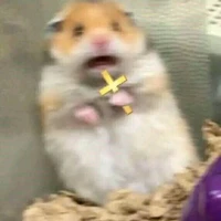 cắn ku m h