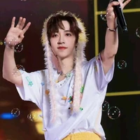 Hạ Tuấn Lâm
