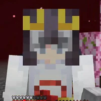 OzinMC/Ozin Gaming [OzinMC]