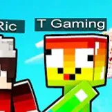 ~•T Gaming•~