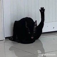 =)))