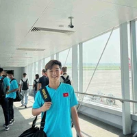 Lê Huỳnh Triệu 