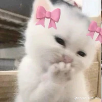 Nami cte
