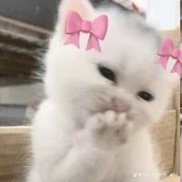 Nami cte