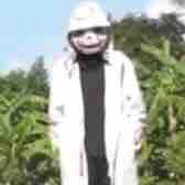 Error 606 sans