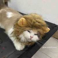 Tác giả