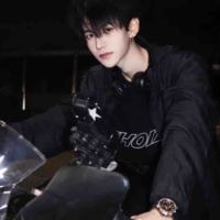 Vương hạ nhân mã/Sagittarius♐