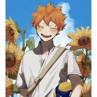 Hinata Shouyo ( Sun )