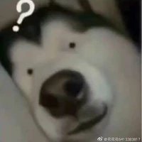 bí ẩn