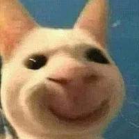 mẹt xe đét chạy trên mẹt xe đét