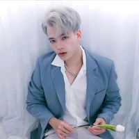 Hoài Việt(Mister Vịt)