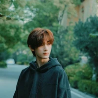 Đinh Trình Hâm