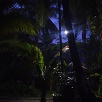Cả lớp