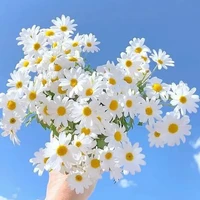 Con tác giả iu đời