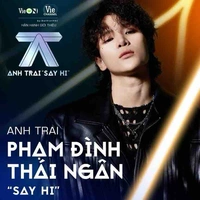 Phạm Đình Thái Ngân 
