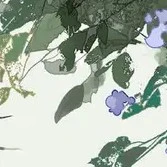 người bí ẩn