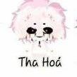 hiha tha hóa