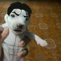 tg tên cá🐟
