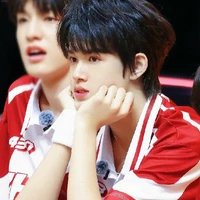 Trương Cực