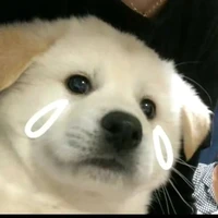 t/gෆ