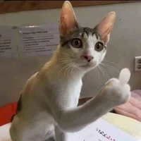 lm nghề j kệ mẹ tao đi 🥰