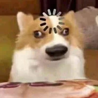 Y/N