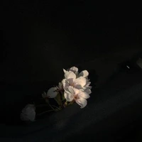 𝐒𝐨𝐦𝐞𝐨𝐧𝐞(?)