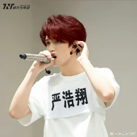 Nghiêm Hạo Tường
