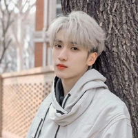 Nghiêm Hạo Tường