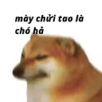 t/g zô tri